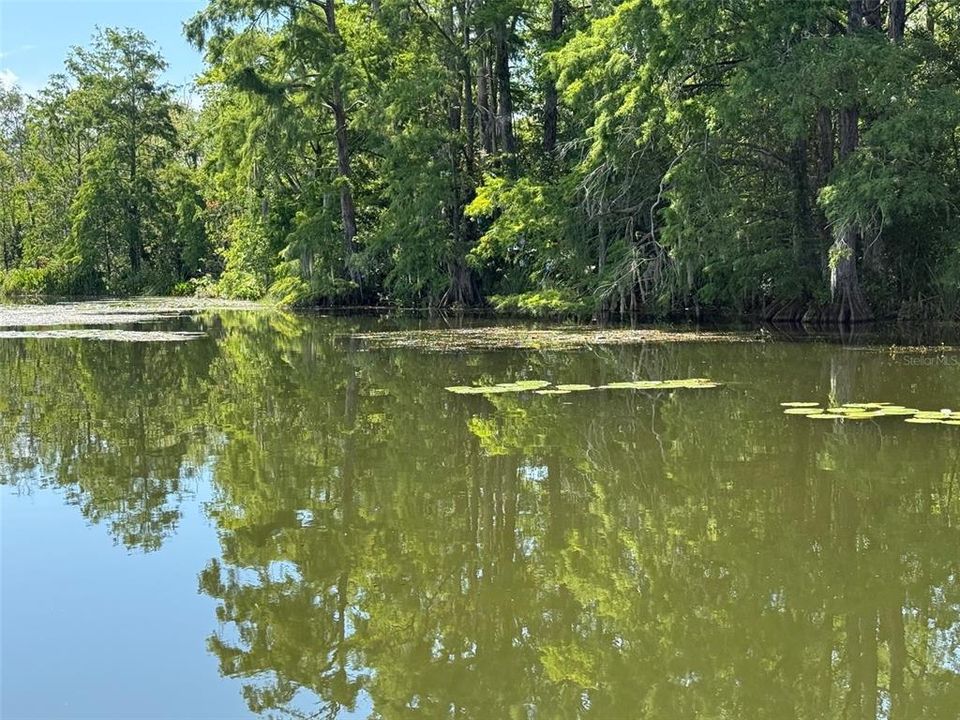 En Venta: $64,995 (0.75 acres)