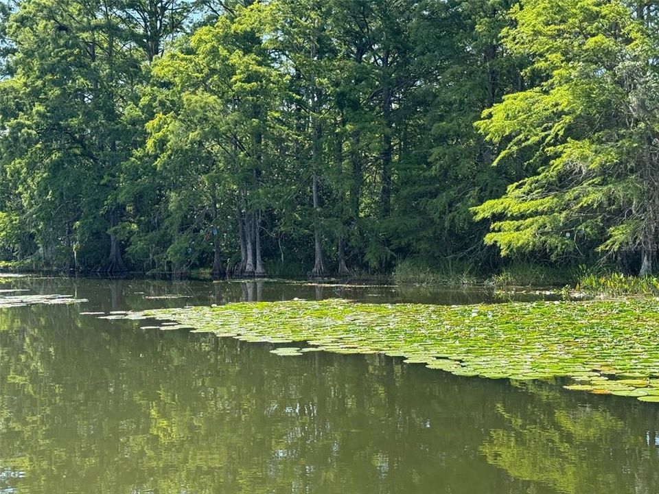 En Venta: $64,995 (0.75 acres)