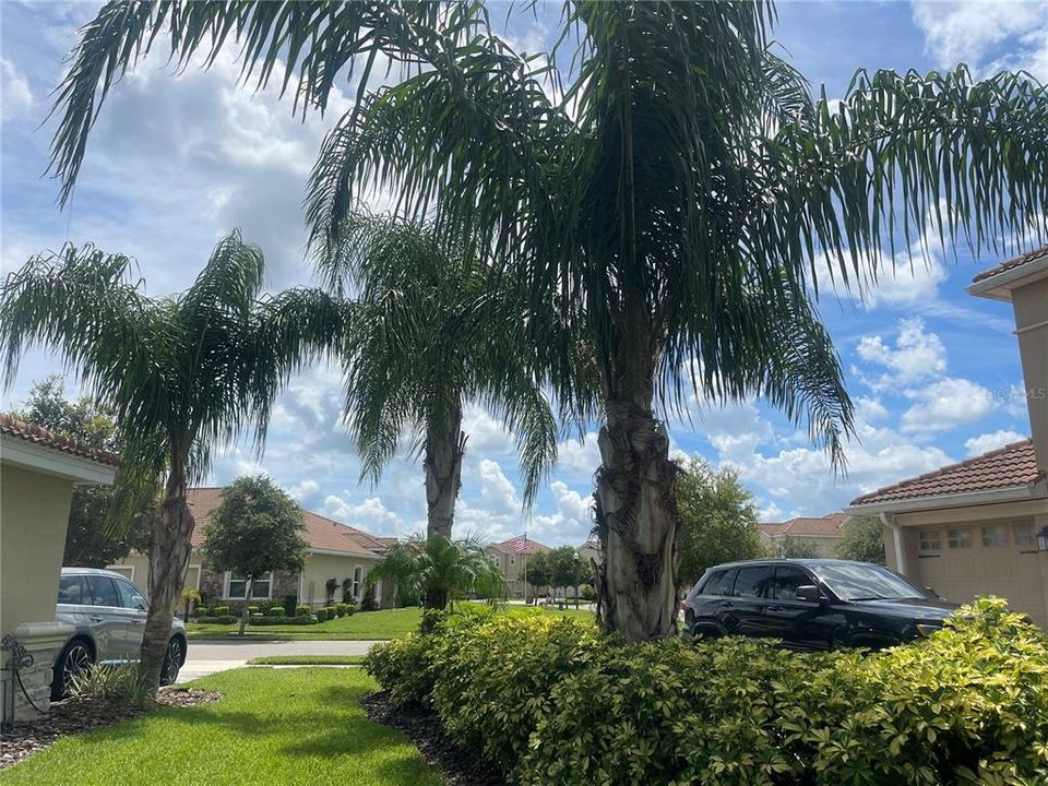 На продажу: $925,000 (5 спален, 3 ванн, 3711 Квадратных фут)