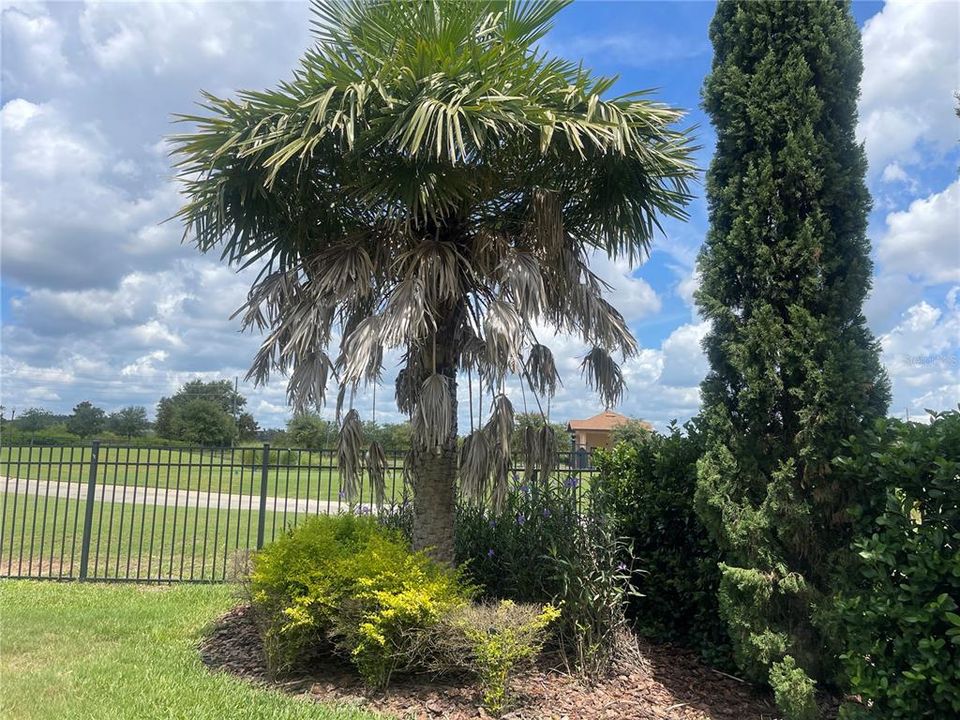 На продажу: $925,000 (5 спален, 3 ванн, 3711 Квадратных фут)