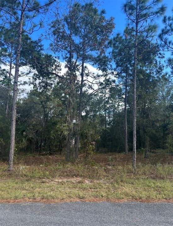 На продажу: $30,999 (0.23 acres)