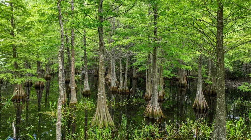 合同活跃: $480,000 (5 贝兹, 3 浴室, 2920 平方英尺)