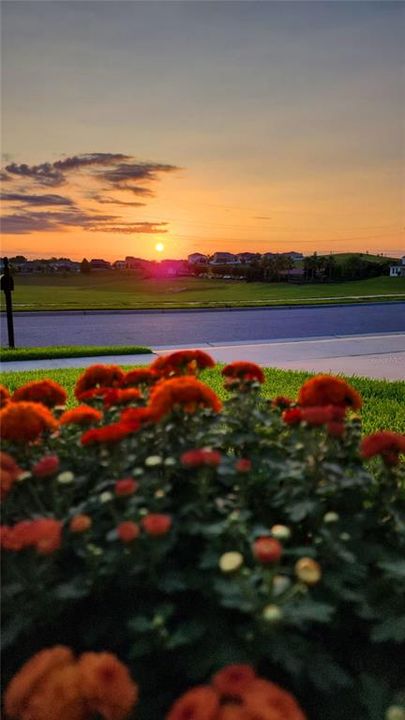 Activo con contrato: $599,990 (5 camas, 3 baños, 3190 Pies cuadrados)