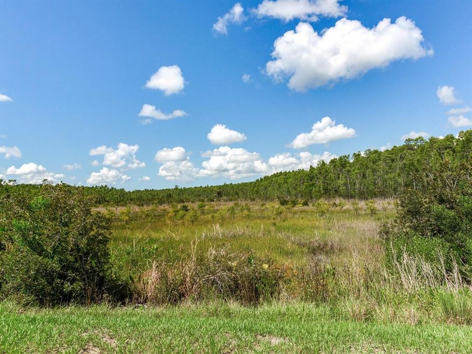 For Sale: $1,099,000 (5 beds, 4 baths, 3615 Square Feet)