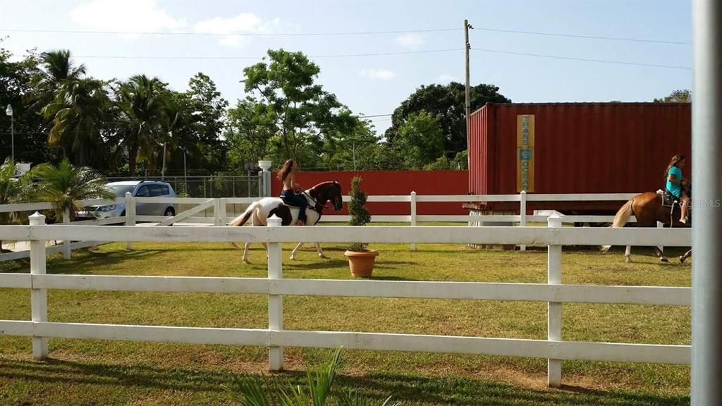 Active With Contract: $379,000 (3 beds, 2 baths, 1800 Square Feet)