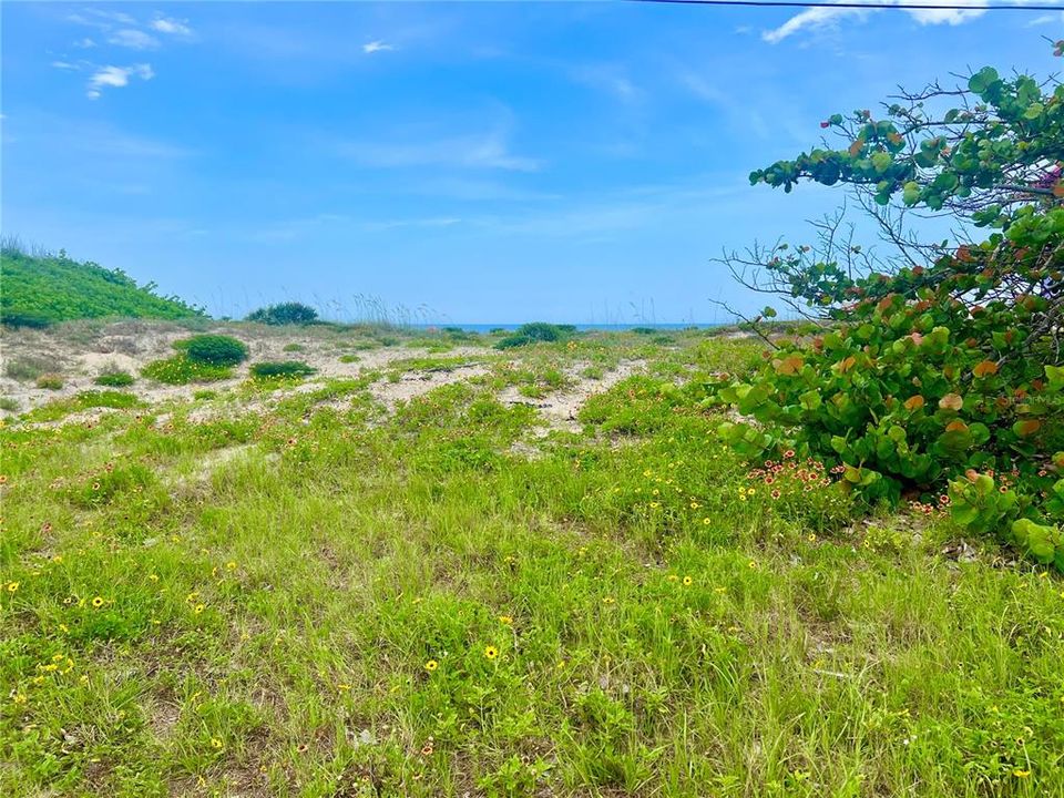 На продажу: $2,400,000 (1.25 acres)