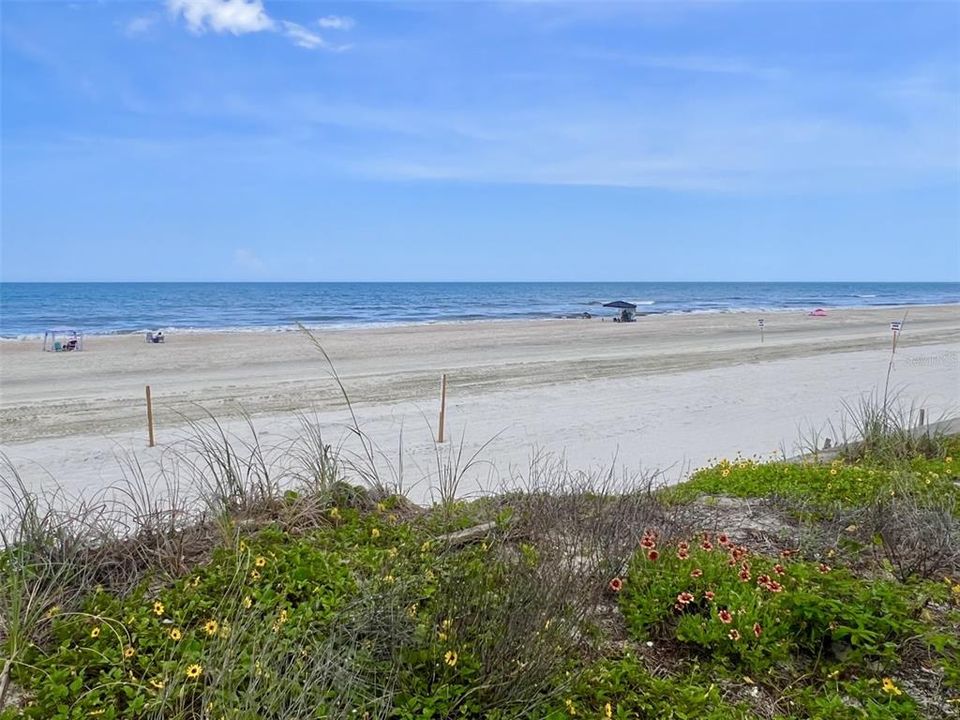 На продажу: $2,400,000 (1.25 acres)