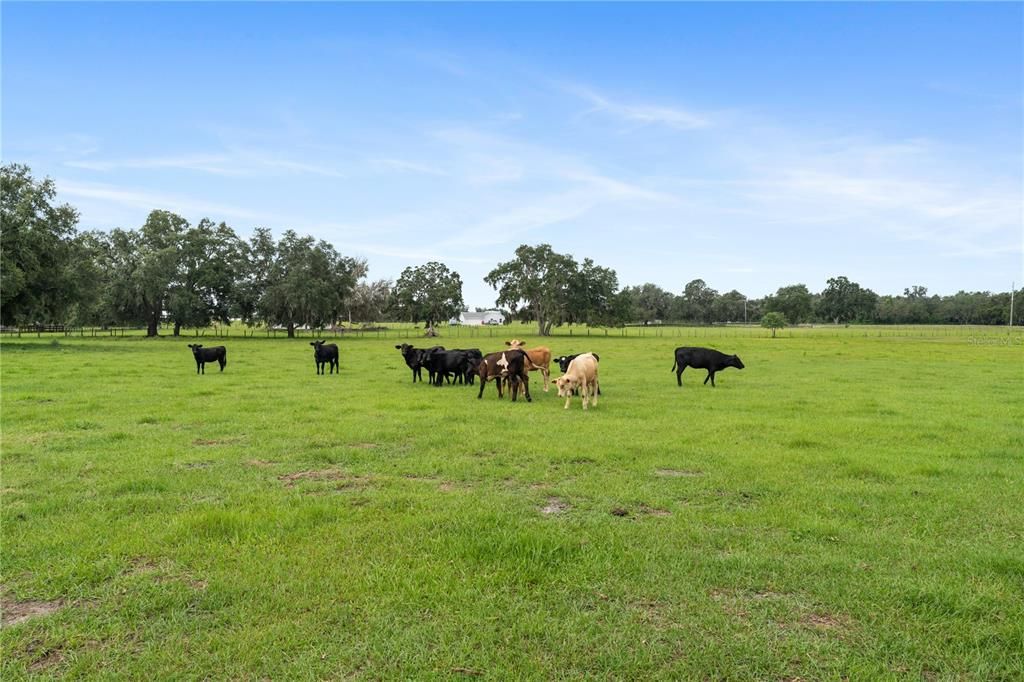 For Sale: $580,000 (3 beds, 3 baths, 1344 Square Feet)