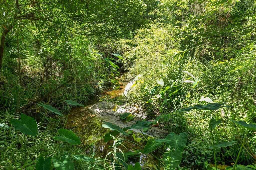 На продажу: $725,000 (3 спален, 2 ванн, 1647 Квадратных фут)