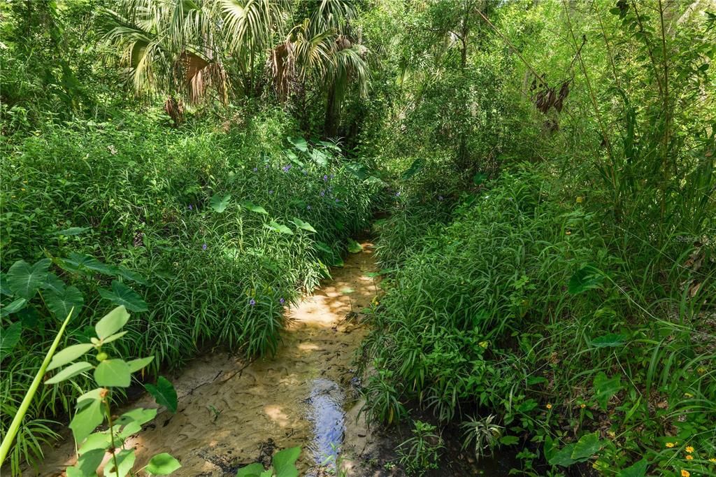 На продажу: $725,000 (3 спален, 2 ванн, 1647 Квадратных фут)