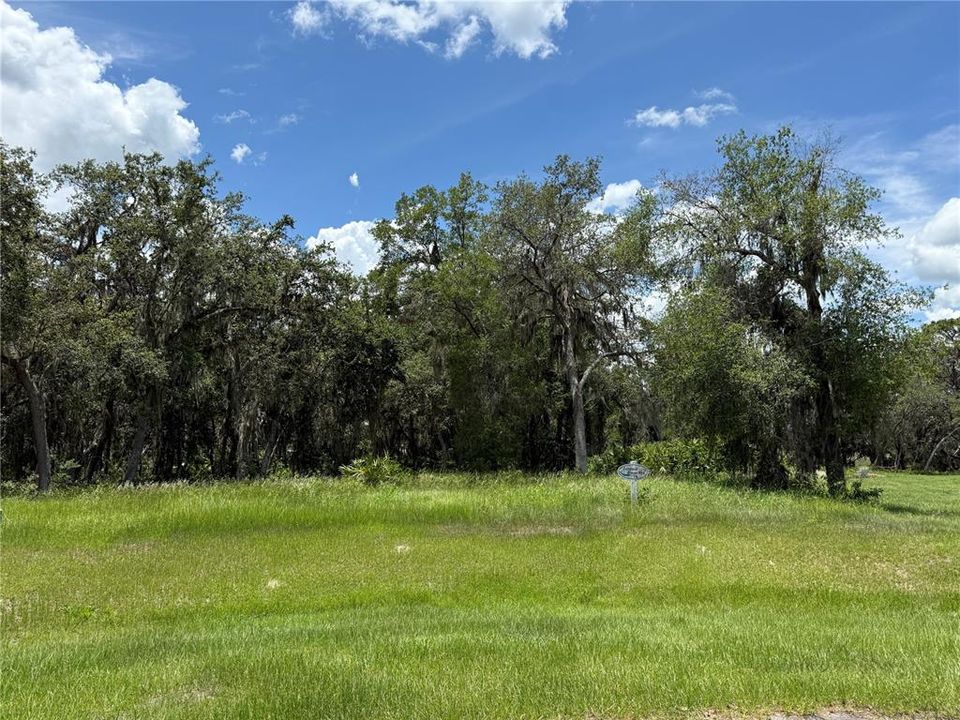 En Venta: $200,000 (16.42 acres)