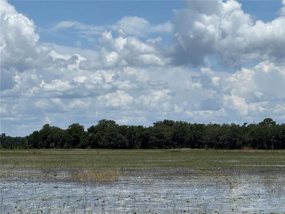 En Venta: $200,000 (16.42 acres)