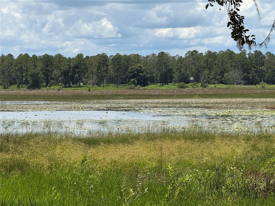 En Venta: $200,000 (16.42 acres)