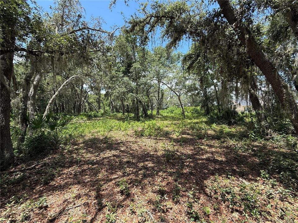 En Venta: $200,000 (16.42 acres)