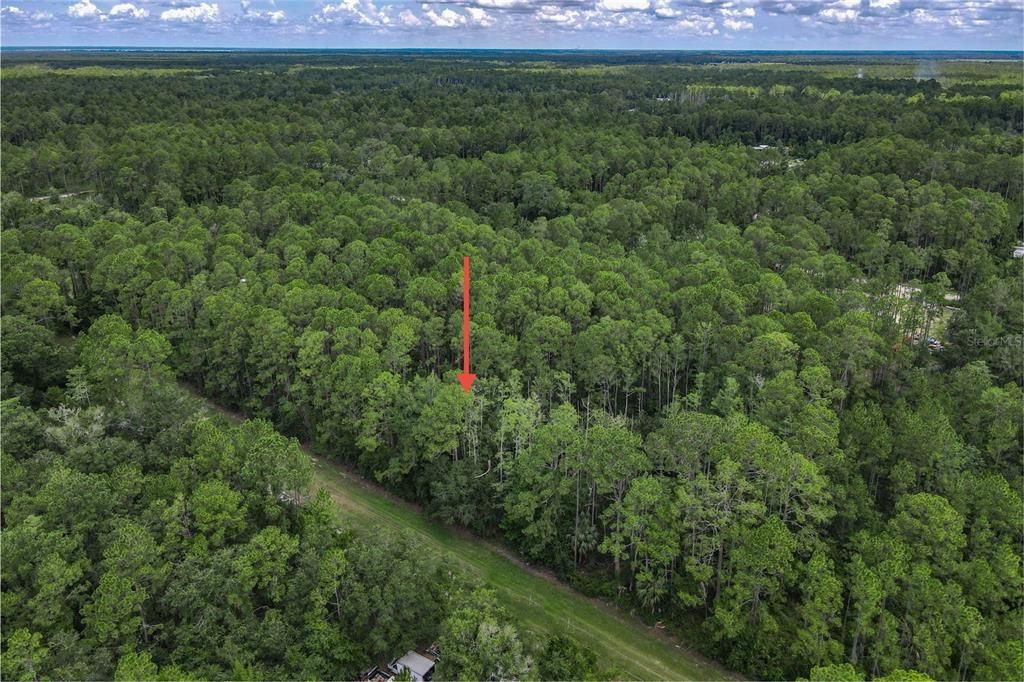 待售: $32,400 (1.14 acres)