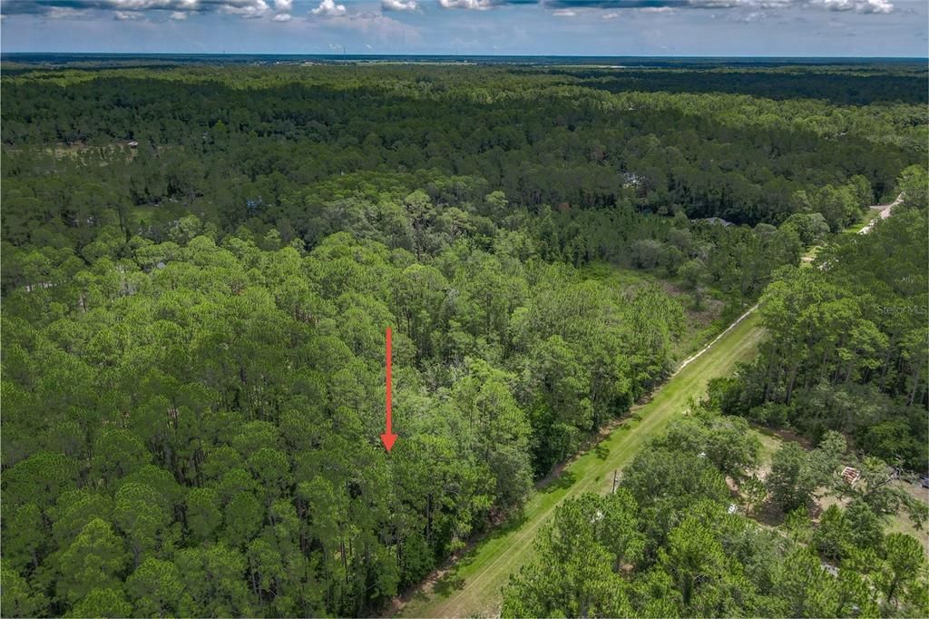 待售: $32,400 (1.14 acres)