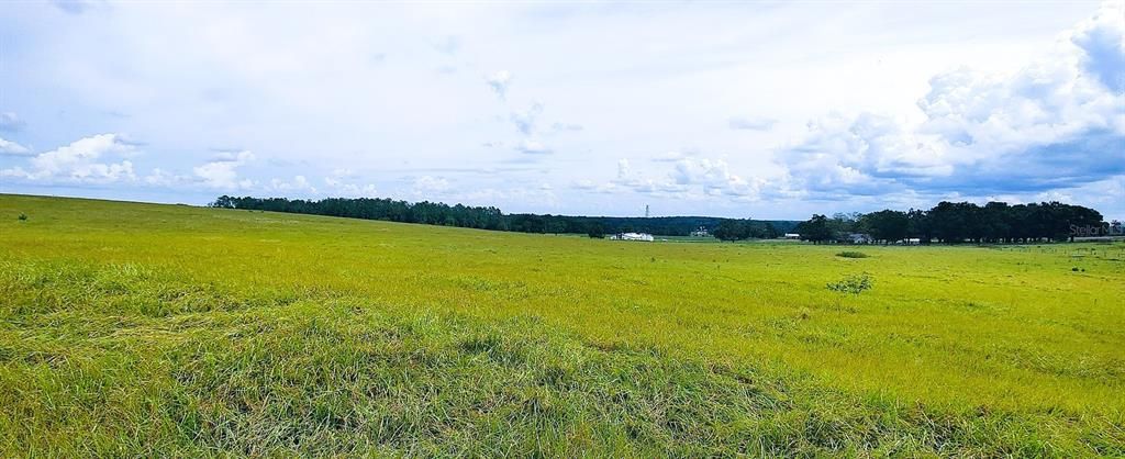 For Sale: $1,400,000 (25.00 acres)