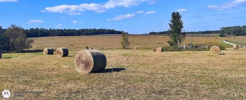 For Sale: $1,400,000 (25.00 acres)