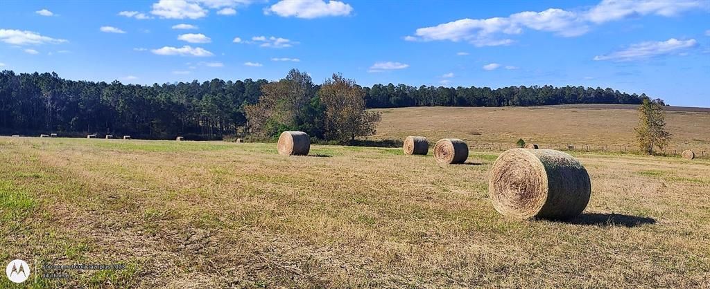 For Sale: $1,400,000 (25.00 acres)