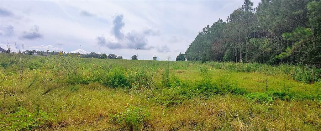 For Sale: $1,400,000 (25.00 acres)