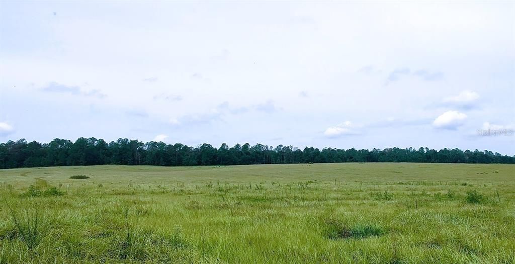 For Sale: $1,400,000 (25.00 acres)