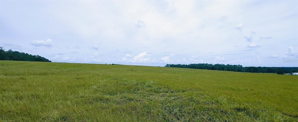 For Sale: $1,400,000 (25.00 acres)