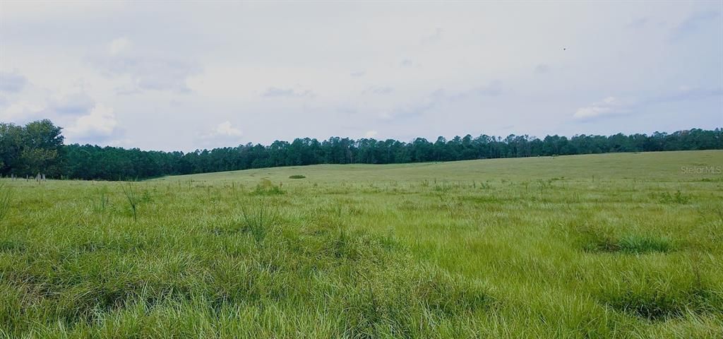 For Sale: $1,400,000 (25.00 acres)