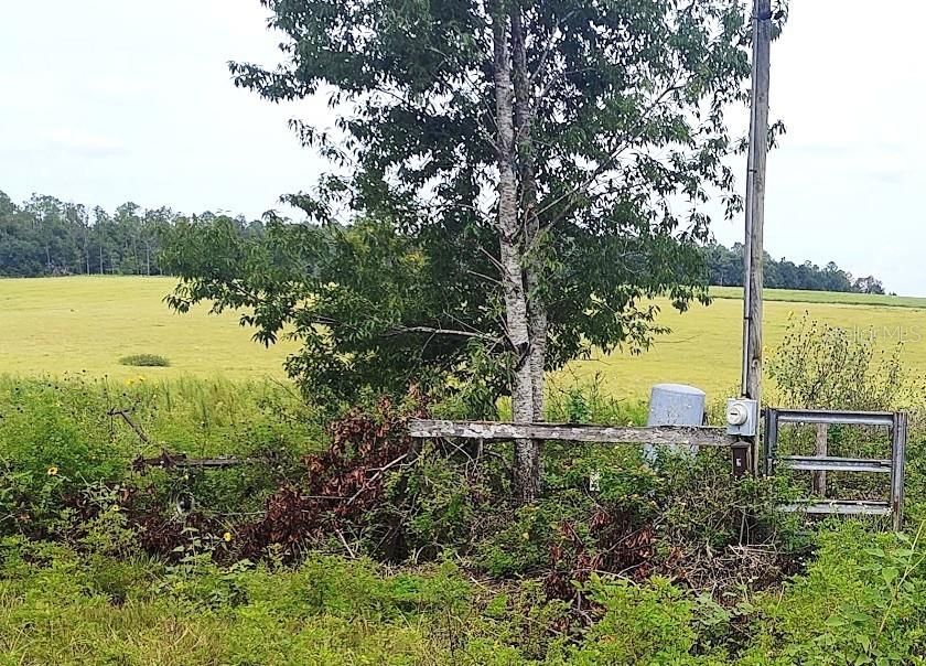 For Sale: $1,400,000 (25.00 acres)