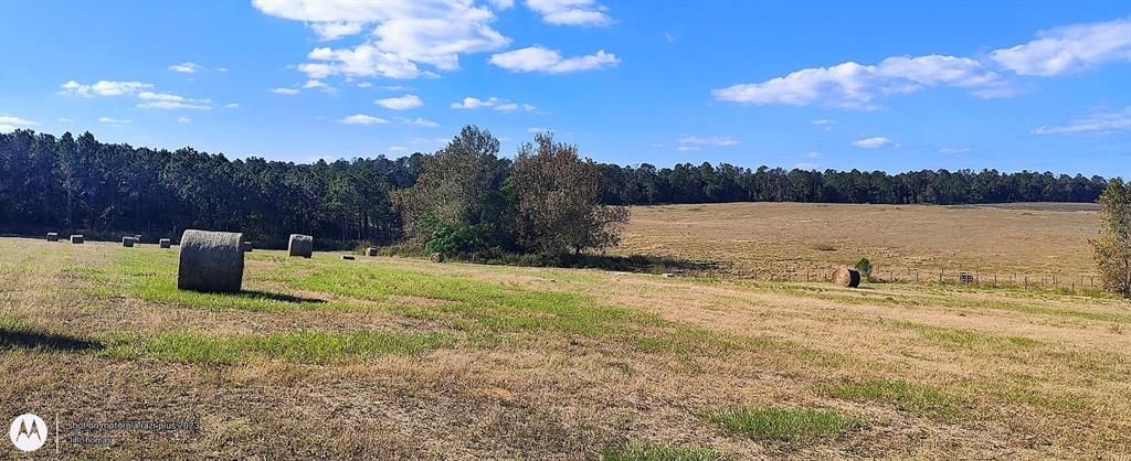 For Sale: $1,400,000 (25.00 acres)