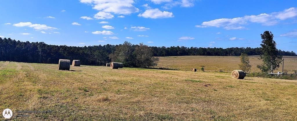 For Sale: $1,400,000 (25.00 acres)