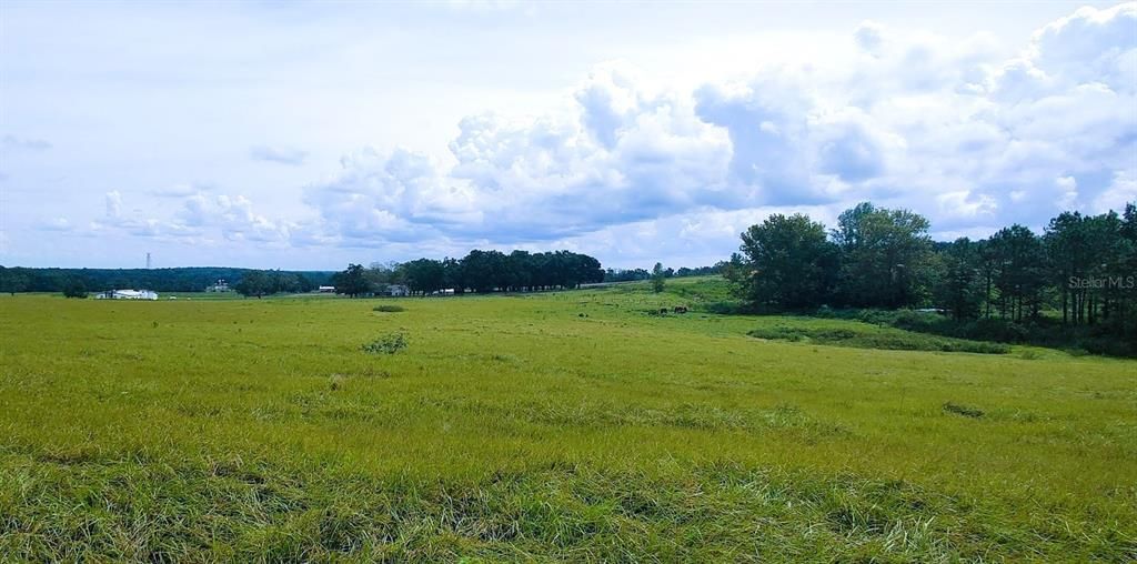 For Sale: $1,400,000 (25.00 acres)