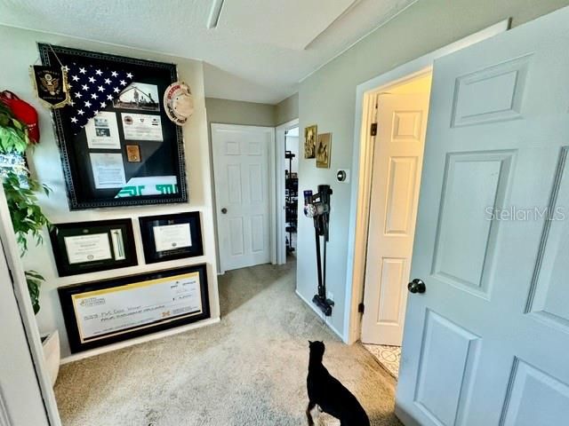 待售: $319,900 (3 贝兹, 2 浴室, 1260 平方英尺)