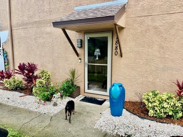 待售: $319,900 (3 贝兹, 2 浴室, 1260 平方英尺)