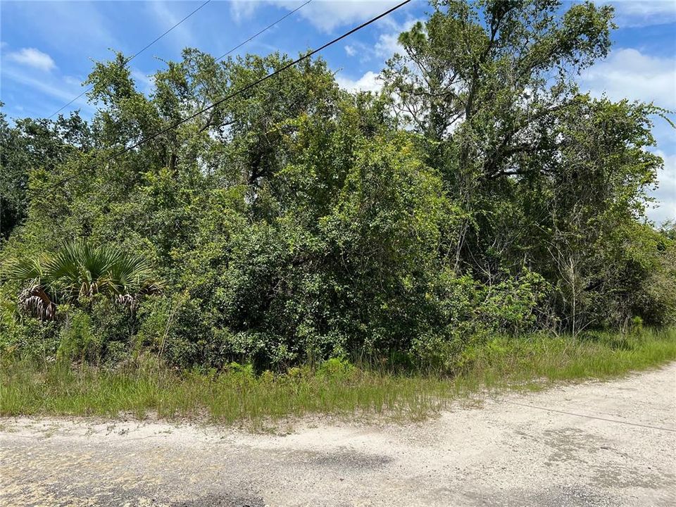 最近售出: $20,000 (0.35 acres)