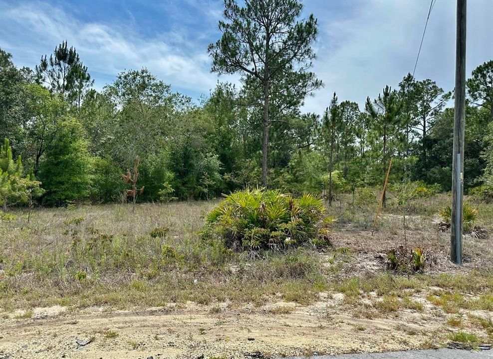 待售: $13,750 (0.24 acres)