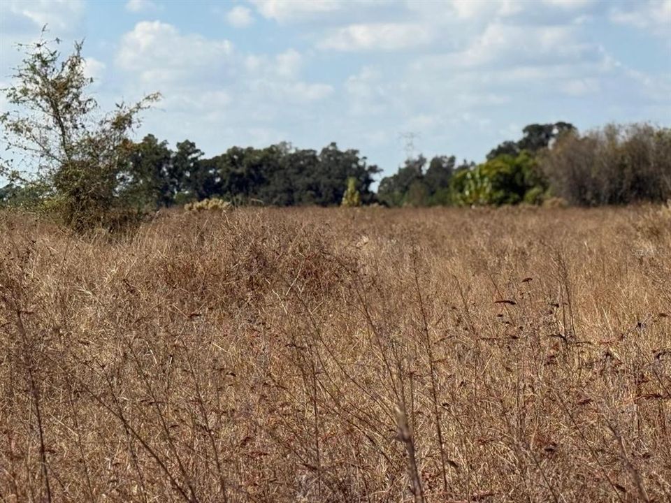 На продажу: $4,000,000 (25.00 acres)