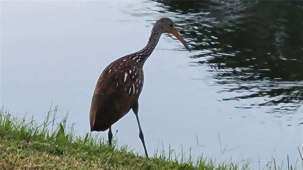 Active With Contract: $2,000 (2 beds, 2 baths, 1351 Square Feet)