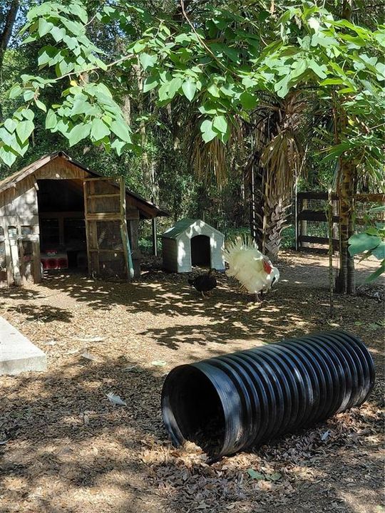 For Sale: $575,000 (3 beds, 2 baths, 1577 Square Feet)