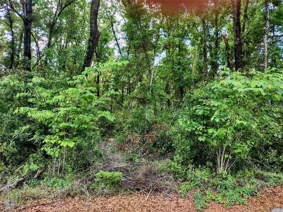 Activo con contrato: $12,500 (0.23 acres)