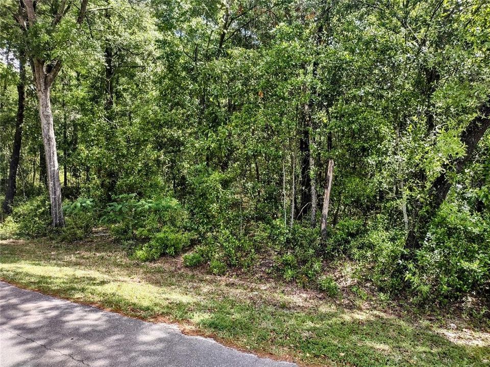 Activo con contrato: $12,500 (0.23 acres)