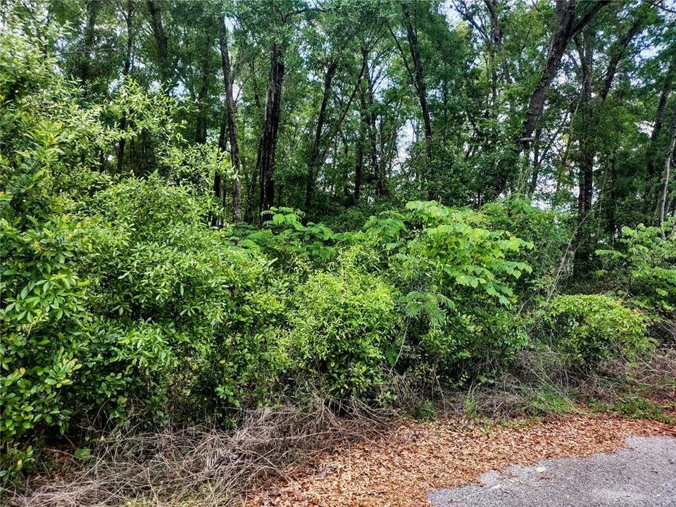 Activo con contrato: $12,500 (0.23 acres)