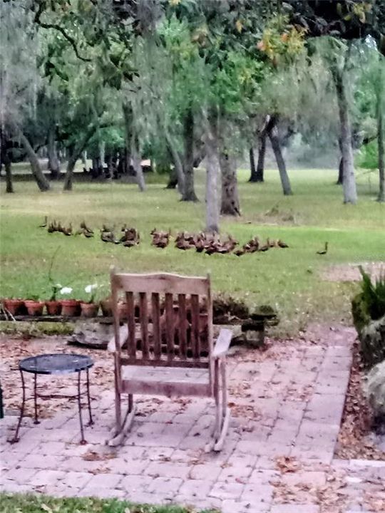 На продажу: $1,350,000 (3 спален, 2 ванн, 2393 Квадратных фут)