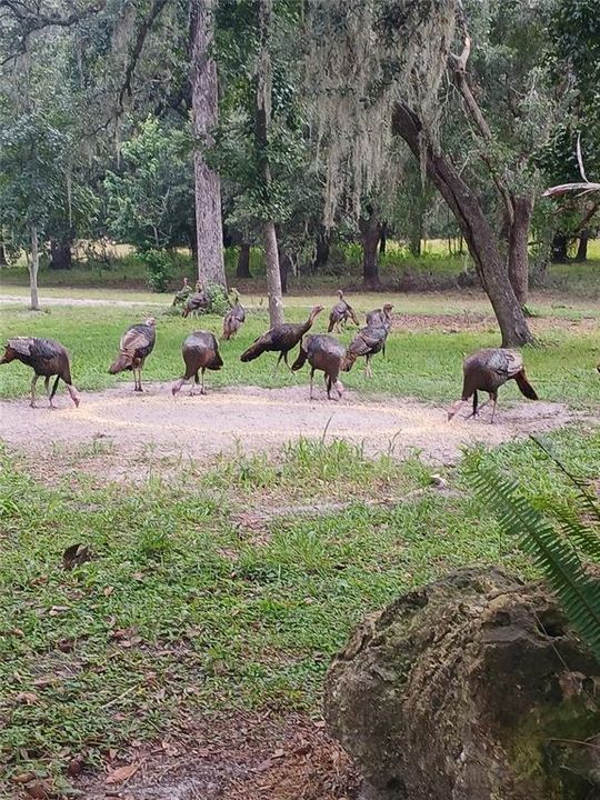 На продажу: $1,350,000 (3 спален, 2 ванн, 2393 Квадратных фут)