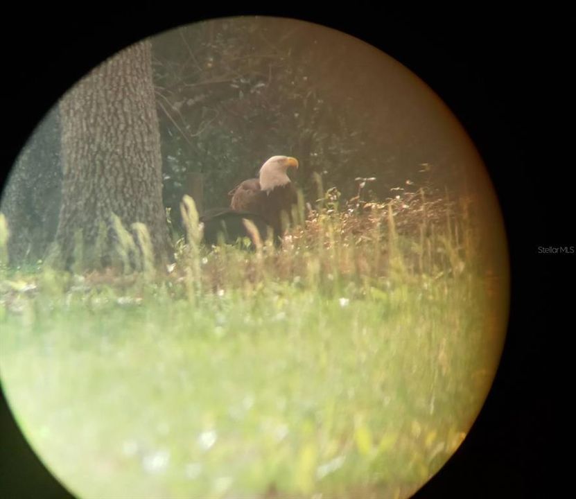 На продажу: $1,350,000 (3 спален, 2 ванн, 2393 Квадратных фут)