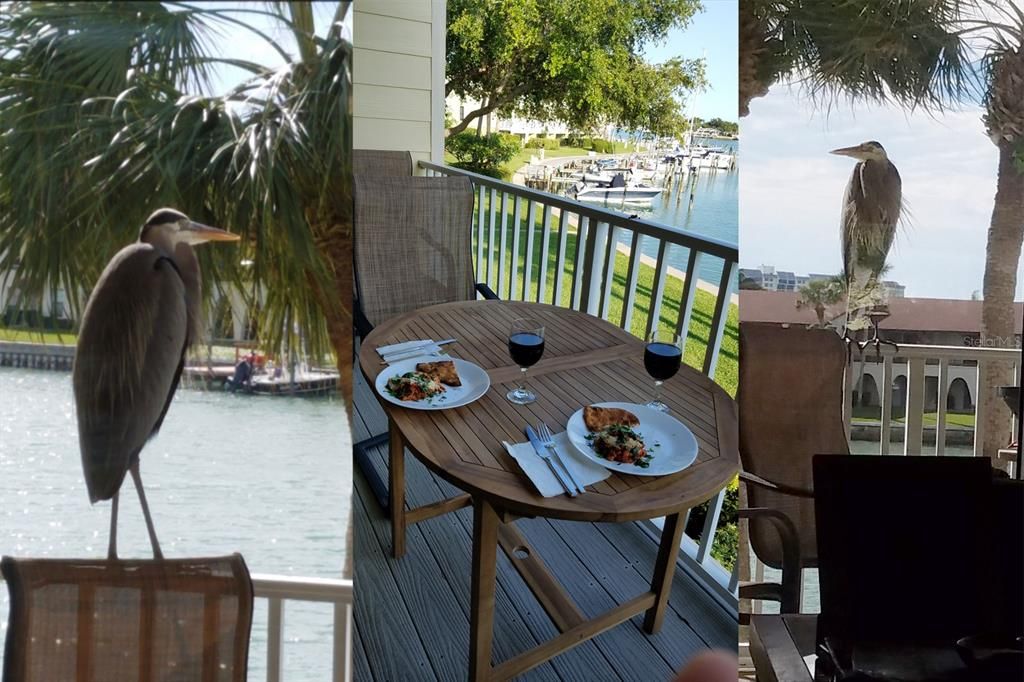 На продажу: $699,900 (2 спален, 2 ванн, 1750 Квадратных фут)