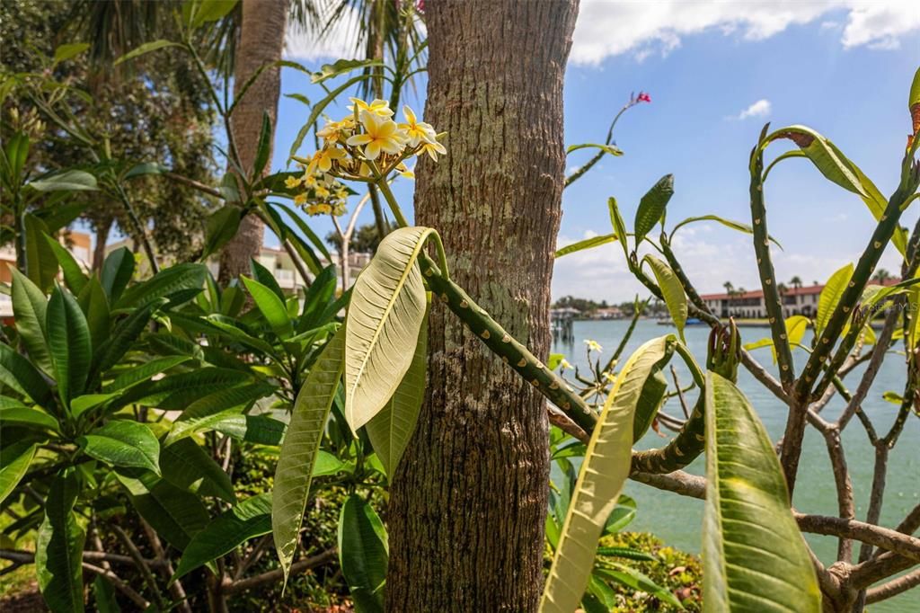 На продажу: $699,900 (2 спален, 2 ванн, 1750 Квадратных фут)