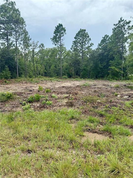 На продажу: $293,000 (3 спален, 2 ванн, 1380 Квадратных фут)