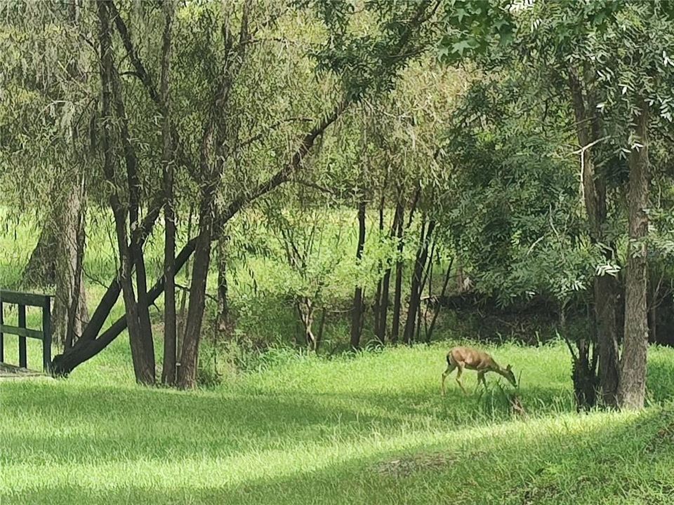 На продажу: $639,000 (2 спален, 2 ванн, 1552 Квадратных фут)
