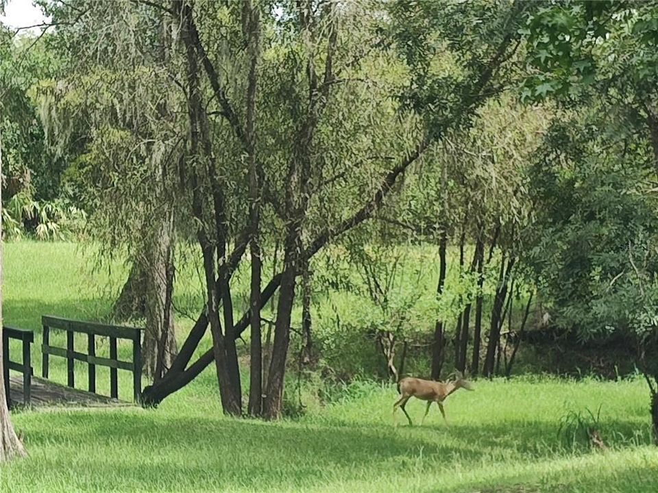 На продажу: $639,000 (2 спален, 2 ванн, 1552 Квадратных фут)