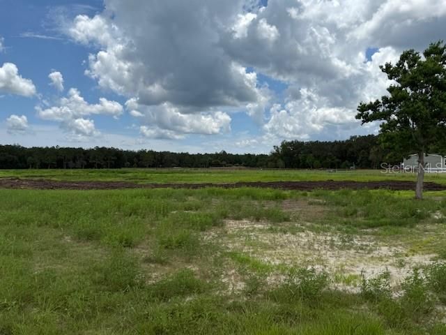 For Sale: $230,000 (5.00 acres)